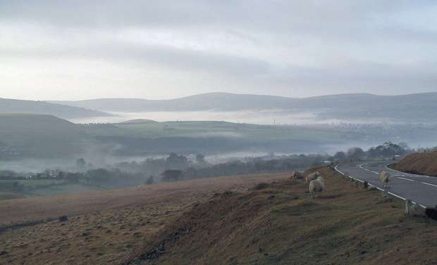 Black Mountain view