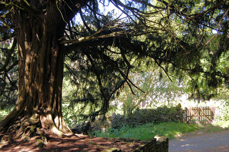 St Ellyw's Churchyard, Llanelieu