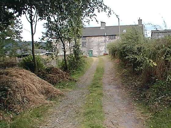 Llanthomas Farm