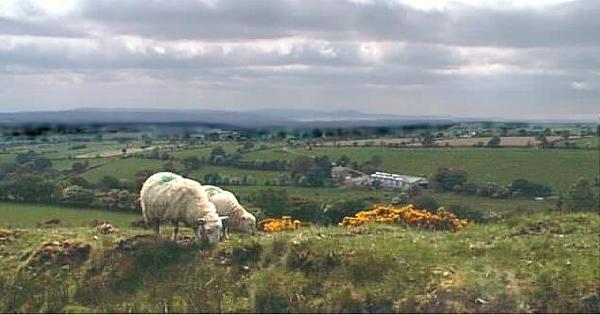 From Lower Clydach Valley